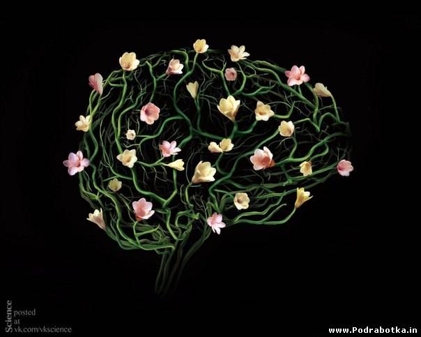 50 совет как раскрыть возможности мозга