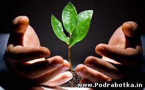 Перспективы развития малого и среднего бизнеса в Украине