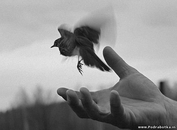 13 ненужных вещей в Вашей жизни