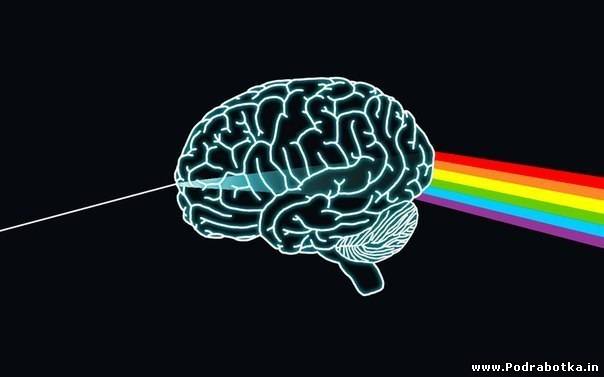 Опровергаем самые известные научные заблуждения: